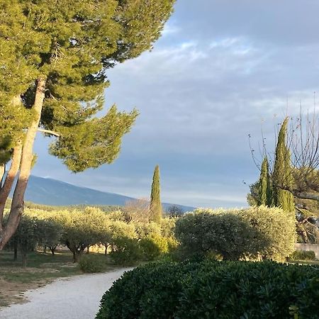 Gite Au Milieux Des Oliviers. Caromb Buitenkant foto